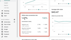 Image of Rich's online store conversion rate on Shopify dashboard