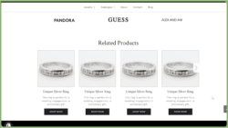 "Related Products" section from the Jewelry Product Page template.